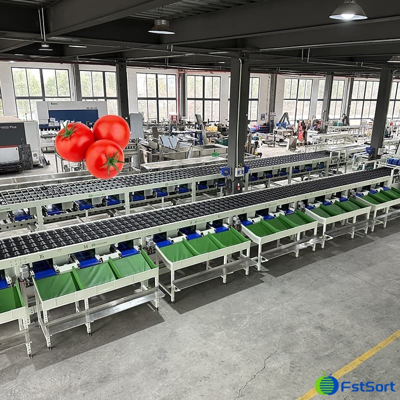 images/1677829026447tomato optical sorting machine.jpg